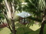 tn 6 Tropical living.layout and luxury
