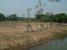 tn 6 Quiet and attractive land plots