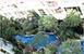 tn 6 Sukhumvit Soi 10 , luxury decorated  