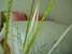 tn 3 Thepprasit Rd Soi, 17