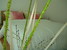 tn 1 Thepprasit Rd Soi, 17