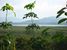 tn 1 Lovely flat land 