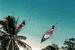 tn 1 Pearl of Naithon - West Coast