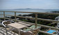 tn 6 Building C (48 Sq.m) on the 18th floor