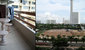 tn 5 Kieng Talay Condo (42 Sq.m)