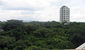tn 6 Pattaya Condo Chain (60 Sq.m) 