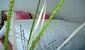 tn 4 Suan Sawarn (33 Sq.m) 5 units available