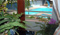 tn 5 Hagone Condo (34 Sq.m) 