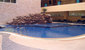 tn 6 Nova Atrium (80 Sq.m) on the 5th floor