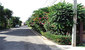 tn 5 Soi Koawtalo (360 Sq.m) Single Storey 
