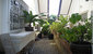 tn 5 Soi Khopai (280 Sq.m) Single storey 