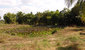 tn 6 Huay Yai (4 Rai - 6,400 Sq.m)