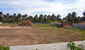 tn 2 Crocodile Farm (100-200 Sq.Wah) 7 plots 