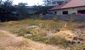 tn 2  Rung Reang Village - (596 Sq.m)