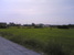 tn 1 Beautiful Land for Sale : (20 Rai) 