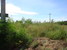 tn 4 Prime Land Plot(s) for Sale  