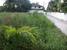 tn 2 Land, 292 Tw2 - 1170 sqm