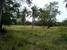 tn 4 Land for sale, near the Crocodile Farm