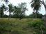 tn 5 Land for sale, near the Crocodile Farm