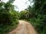 tn 2  Near Wat Yan, 6 Rai 21 Tw2 - 9,684 sqm