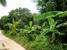 tn 5  Near Wat Yan, 6 Rai 21 Tw2 - 9,684 sqm