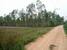 tn 5 Land for Sale near Mabprachan Lake 