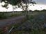 tn 2 25 km east of Pattaya, Land for sale