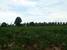 tn 6 35 Rai, 56,000 sqm, 2 road frontage
