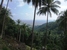 tn 2 Beautiful Sea View Land Plots