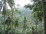 tn 3 Beautiful Sea View Land Plots