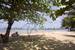 tn 2 Paradise Coveâ€¦5 Star locationâ€¦