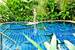 tn 3 Exclusive home & designer swimming pool 