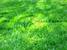 tn 1 5 Star land opportunity â€“ 158 sq wah 