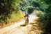 tn 3 enduro madness 