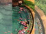 tn 2 THAISWAI RESIDENT- 60 sqm - 180 sqm  