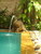 tn 3 PRATAMNAK HILL - 100 m to the Beach  