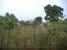 tn 2 Land for sale