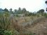 tn 3 Land for sale