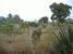 tn 4 Land for sale