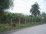 tn 1 Land 1 Rai in 1 Chanod at Khao Chee Jun