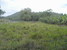 tn 3 Land 1 Rai in 1 Chanod at Khao Chee Jun