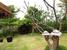 tn 6  Four bedrooms house in Hang Dong