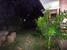 tn 6 Three Bedrooms one storey house
