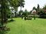 tn 6 Stunning home & large beautiful garden