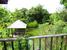 tn 6 Large Family home & Pool and Guest house