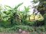 tn 2 Land close to Temple