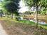 tn 4 Land close to Temple