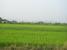 tn 1 Land in Sansai for sale