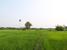 tn 3 Land in Sansai for sale