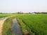 tn 4 Land in Sansai for sale